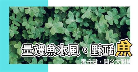魚 數量 風水
